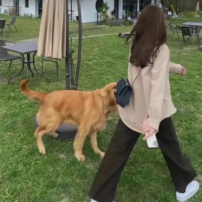我的特务女友